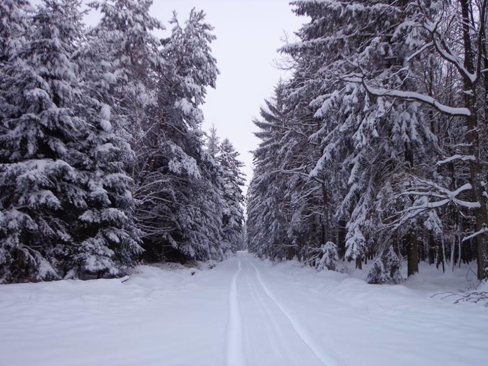 Penzion U Kostela Mláka Buitenkant foto